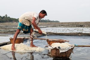 Fattori climatici minacciano il successo dei contadini di sale in Bangladesh.