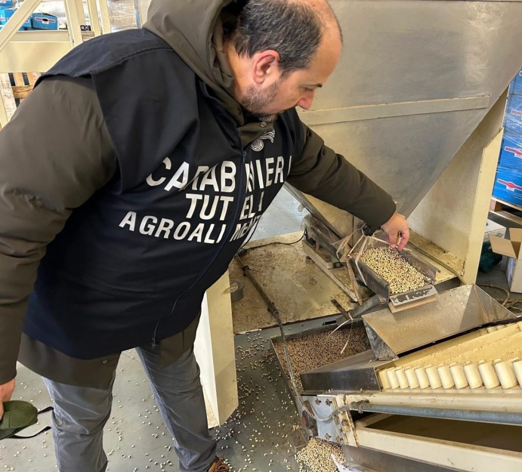 Sequestrate 90 tonnellate di cereali e legumi infestati a Reggio Emilia. Lollobrigida interviene.