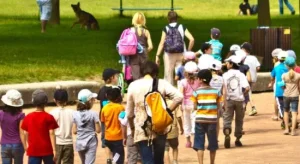 Uscite didattiche: i docenti non sono obbligati a partecipare come accompagnatori.