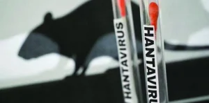Hantavirus: incubo e fake news su La7, Stasera in TV del 17 maggio 2026