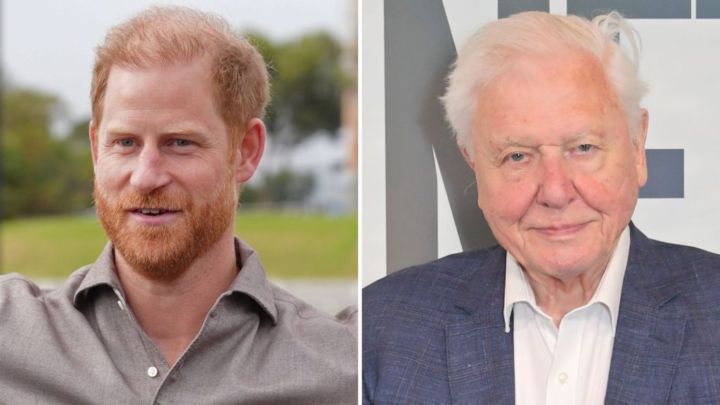 Il commovente omaggio di Harry a David Attenborough per il suo centesimo compleanno.