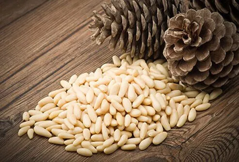 11 Semi Super Nutrienti per Migliorare la Tua Salute e Alimentazione Quotidiana