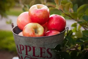 Benefici salutari delle mele: alimentazione, salute e benessere in un frutto quotidiano