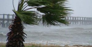 Calabria: richiesta di stato di calamità per il settore agricolo sull’Alto Ionio.