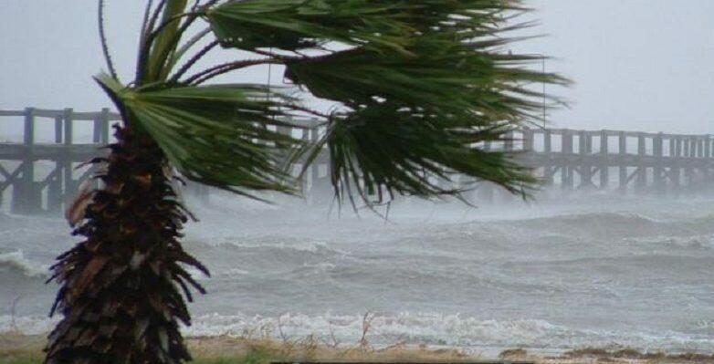 Calabria: richiesta di stato di calamità per il settore agricolo sull’Alto Ionio.
