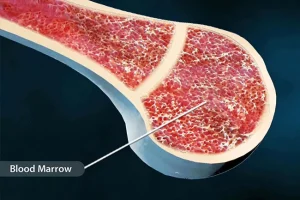 Alimenti naturali per aumentare l’emoglobina velocemente e in modo efficace