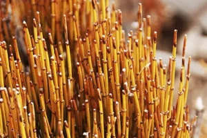Erbe e integrazioni: informazioni essenziali prima di assumere integratori naturali