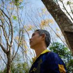 EUDR: aiuti del settore privato per i piccoli agricoltori di gomma in Thailandia.