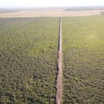 In Brasile, un progetto finanzia i contadini per la salvaguardia delle foreste, puntando all’espansione.
