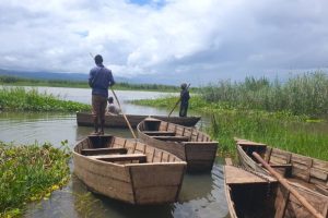 Malawi: salvaguardare l’Elephant Marsh, un ecosistema vitale per migliaia di specie.