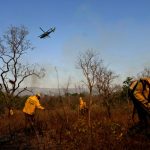 Incendi in Brasile mettono a rischio le vite degli indigeni e delle popolazioni isolate.