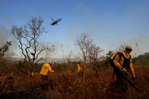 Incendi in Brasile mettono a rischio le vite degli indigeni e delle popolazioni isolate.