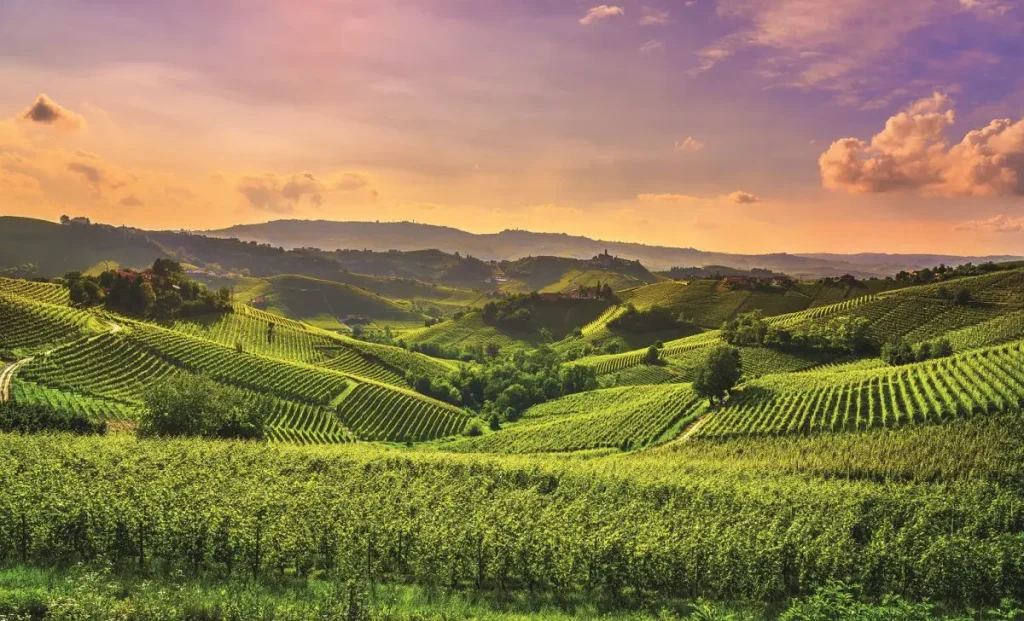 Torino e Sardegna in corsa per gli EU Organic Awards 2026: ecco perché brillano.