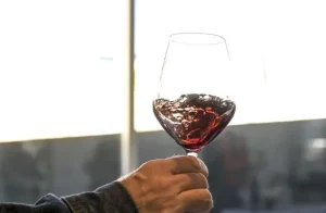 Veneto investe 11 milioni per promuovere il vino sui mercati internazionali.