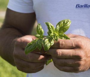 Barilla: Innovazione sostenibile e progetti eco-friendly per un futuro più verde.
