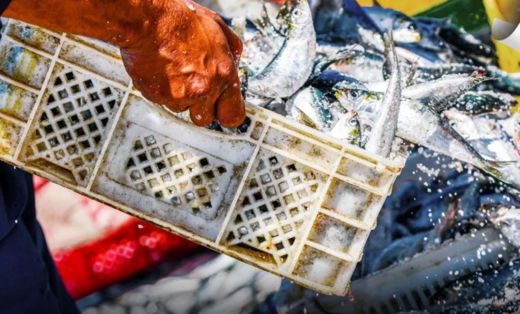 Sette giorni di innovazione: il Congresso Uila Pesca parte lunedì a Roma.