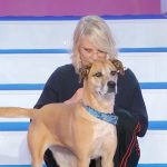 Uomini e Donne: Maria raggiante con i cagnolini adottati e il meglio del Trono Over.