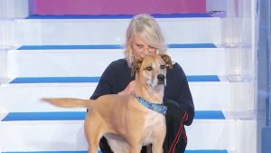 Uomini e Donne: Maria raggiante con i cagnolini adottati e il meglio del Trono Over.