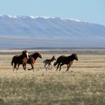 Aumento della spesa americana per minerali critici negli ultimi dieci anni.