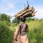 Popolazioni indigene ottengono più terre in una foresta comunitaria della RDC.