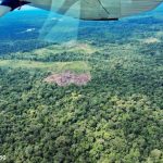 In Perù e Brasile, l’estrattivismo mette a rischio gli indigeni isolati: rapporto.
