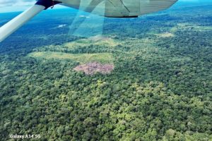 In Perù e Brasile, l’estrattivismo mette a rischio gli indigeni isolati: rapporto.