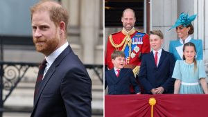 Harry preoccupato di essere ‘superato’ dai figli di William, rivela biografo di Diana.