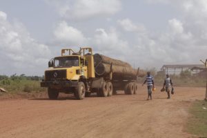 L’UE annuncia l’interruzione dell’accordo contro il disboscamento illegale in Liberia.