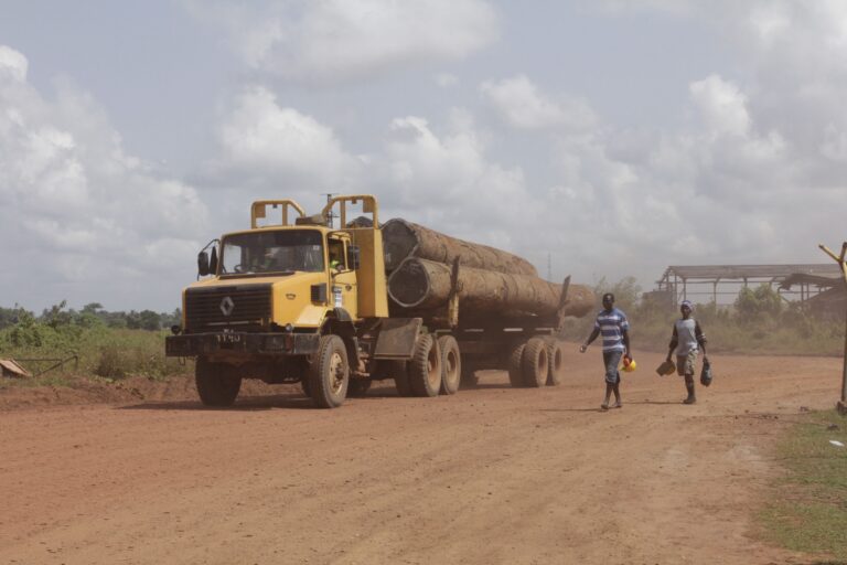 L’UE annuncia l’interruzione dell’accordo contro il disboscamento illegale in Liberia.