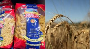 Antitrust contro Divella: Coldiretti accusa inganno sull’origine del grano e sfrutta il tricolore.
