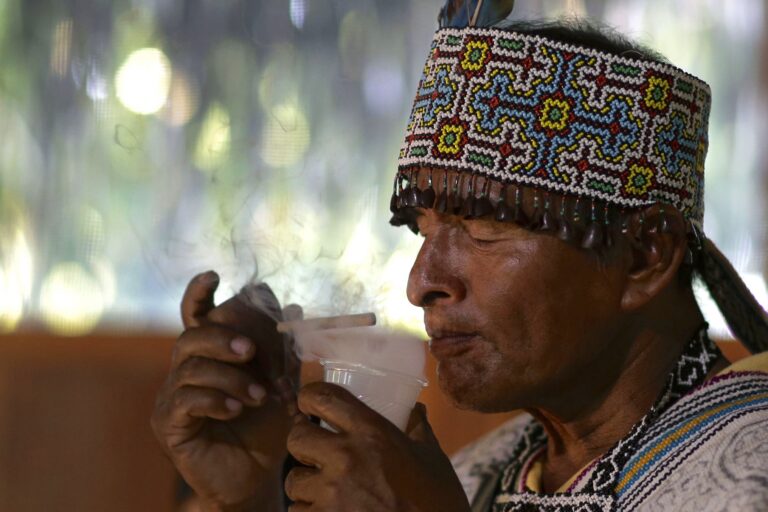 La pressione globale sull’ayahuasca mette a rischio piante amazzoniche e tradizioni culturali.