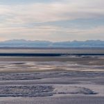Vendita di diritti su petrolio e gas nell’Arctic National Wildlife Refuge dell’Alaska.