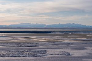 Vendita di diritti su petrolio e gas nell’Arctic National Wildlife Refuge dell’Alaska.