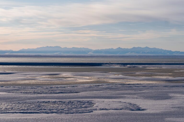 Vendita di diritti su petrolio e gas nell’Arctic National Wildlife Refuge dell’Alaska.