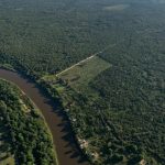 Analisi 2025: Deforestazione Amazzonica, buone e cattive notizie emergono sul futuro.