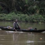 Shell ha continuato le operazioni nonostante le perdite di petrolio nelle foreste di mangrovie nigeriane.