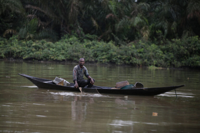 Shell ha continuato le operazioni nonostante le perdite di petrolio nelle foreste di mangrovie nigeriane.