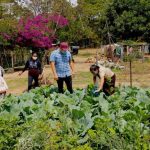 Conoscenze dell’antica Maya aiutano agricoltori guatemaltechi a ridurre l’uso di agrochimici.