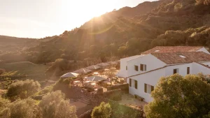 Le nuove e imperdibili aperture di hotel in Europa questa estate, secondo i nostri esperti.