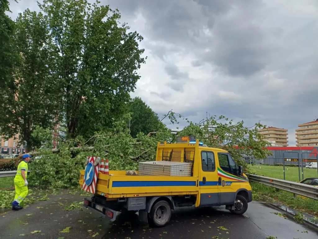 Statale 36 chiusa verso Lecco per albero caduto: traffico deviato.