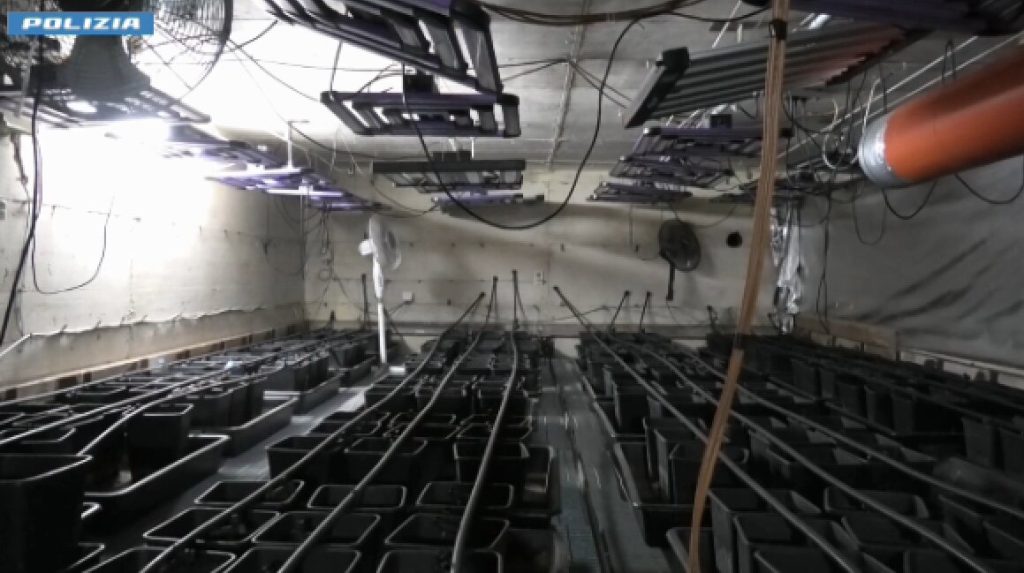 Bunker segreto nel Foggiano: scoperta piantagione di marijuana, 5 persone arrestate.