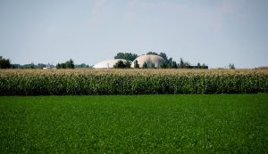 Energie rinnovabili: un pilastro fondamentale per il futuro dell’agricoltura sostenibile