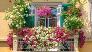 Fiori da balcone: le 10 migliori varietà da coltivare per un angolo verde rigoglioso