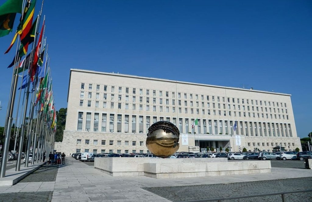 Crisi del Golfo: Tajani convoca videoconferenza con Ambasciatori italiani in Medio Oriente.