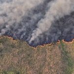 Allerta deforestazione in Brasile ai minimi storici da 2014, secondo i dati ufficiali.