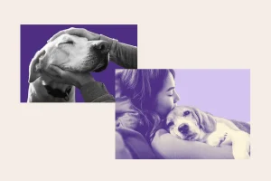Millennials e Gen Z: il “gentle parenting” dei cani genera preoccupazioni e problemi.