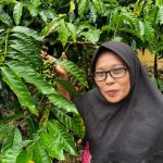 Foresta Sociale in Sumatra: unisce conservazione e sostentamento per le comunità locali.