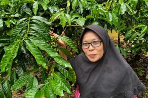 Foresta Sociale in Sumatra: unisce conservazione e sostentamento per le comunità locali.