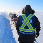 Espansione delle strade artiche in Canada: i guardian indigeni studiano il caribù.