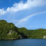 Rimozione dei ratti in un’isola porta a un notevole recupero di natura terrestre e marina.